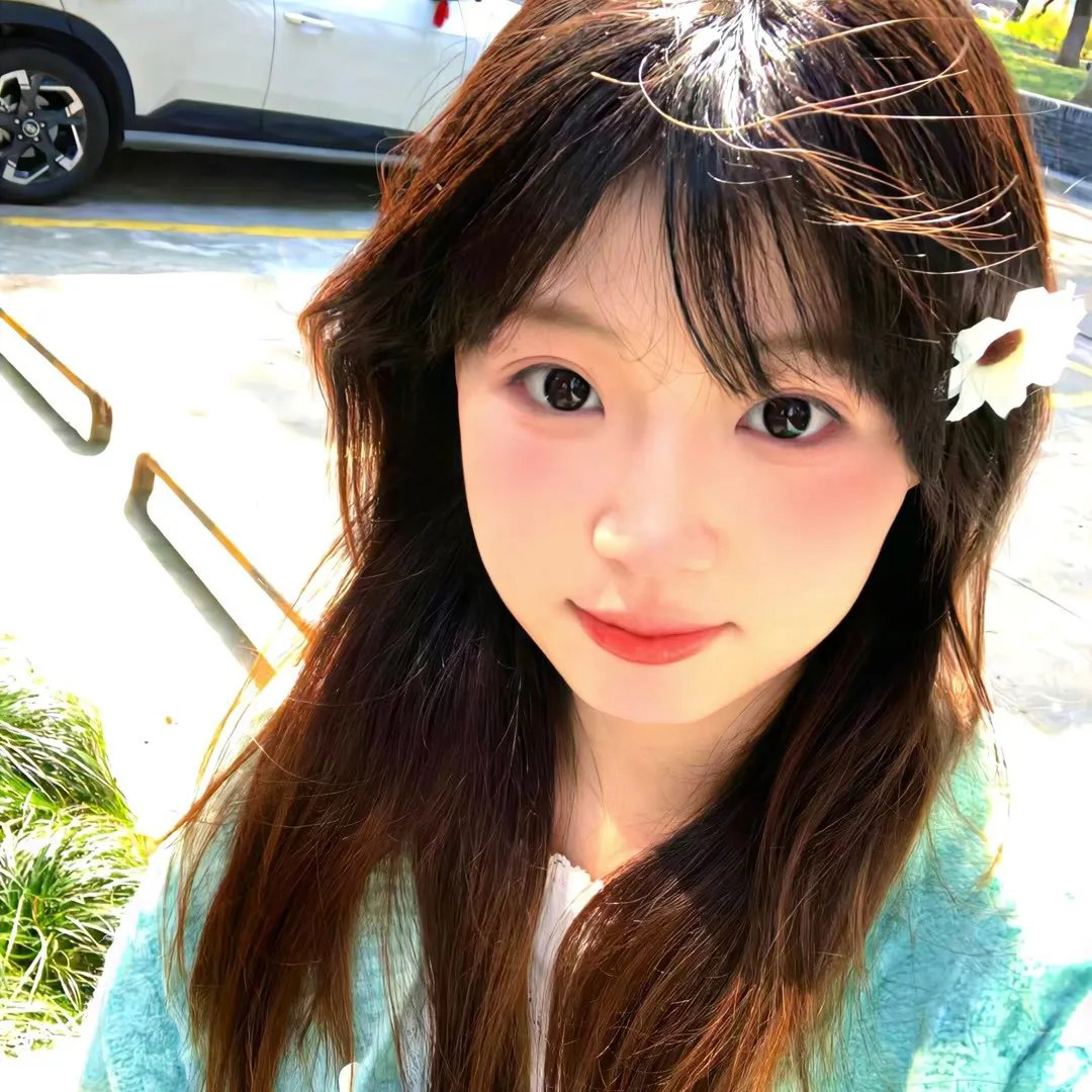 百合熊风暴